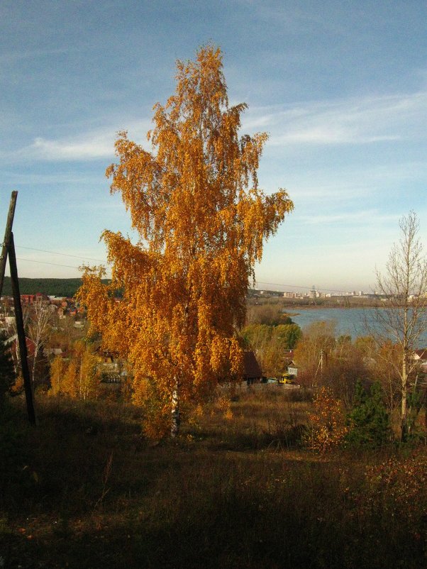 Вот и осень. - sav-al-v Савченко
