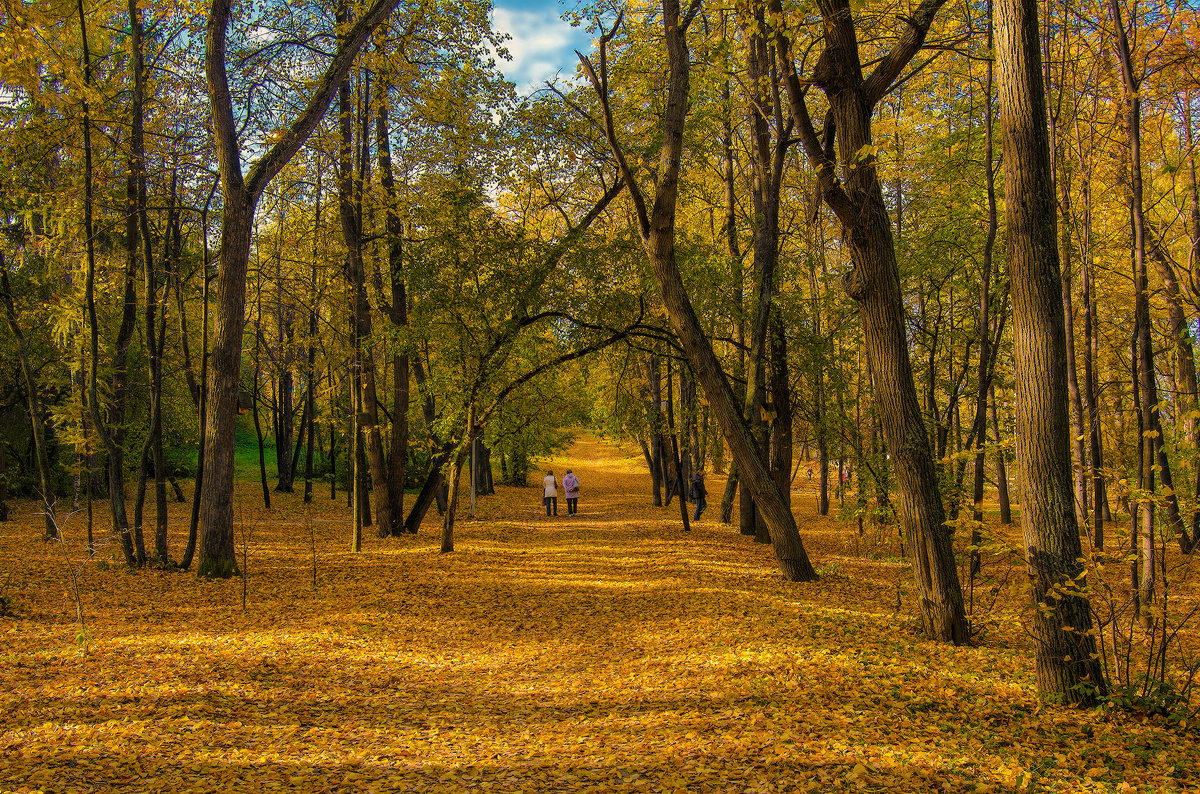 Осень золотая листья рассыпает - vladimir Bormotov