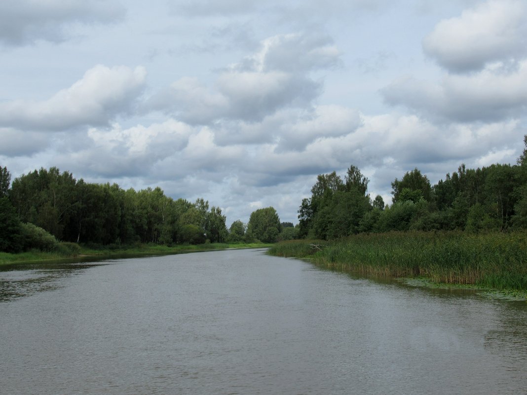 Река Эмайыги - Елена Павлова (Смолова)