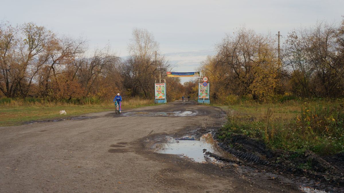 *** - Вадим Губин