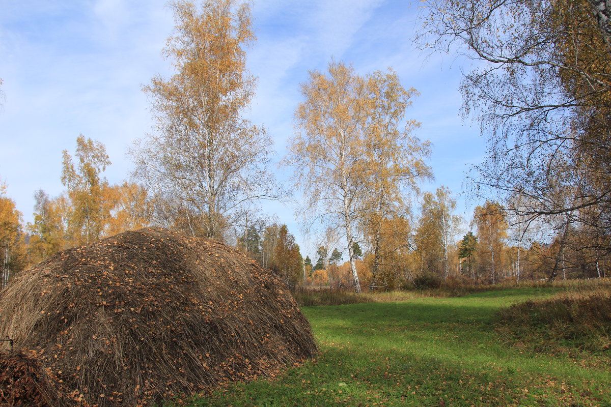 Покос - Лариса 