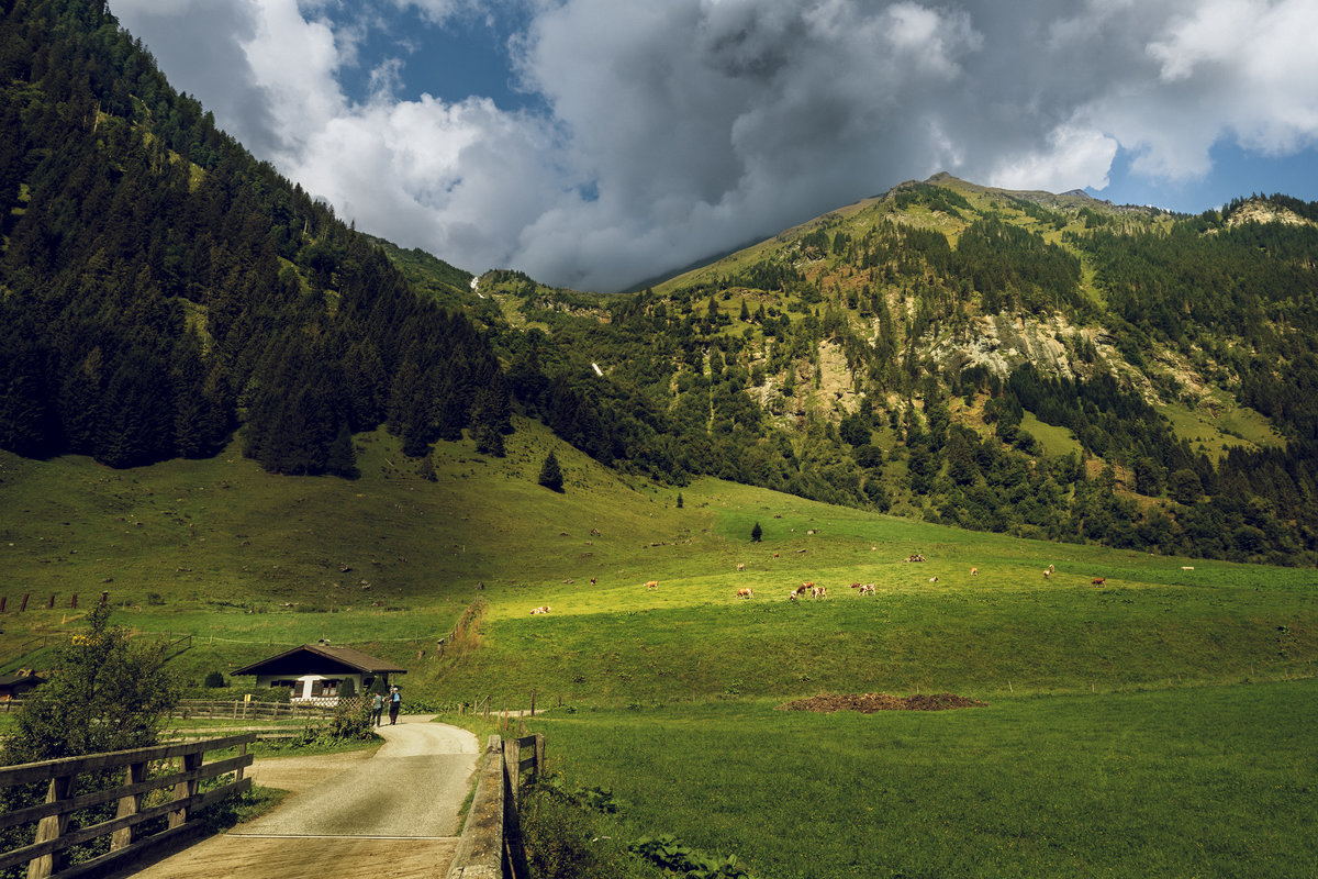 Die Alpen in Österreich - Zilbiris Genadi 