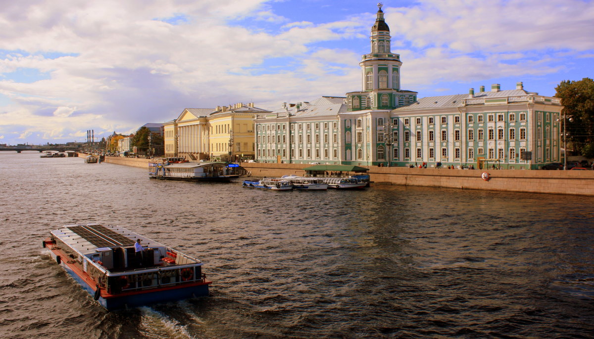 САНКТ-ПЕТЕРБУРГ - Николай Гренков