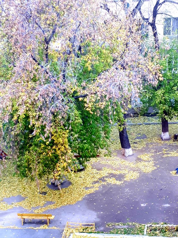 Осенний дворик - Наталья Тимофеева