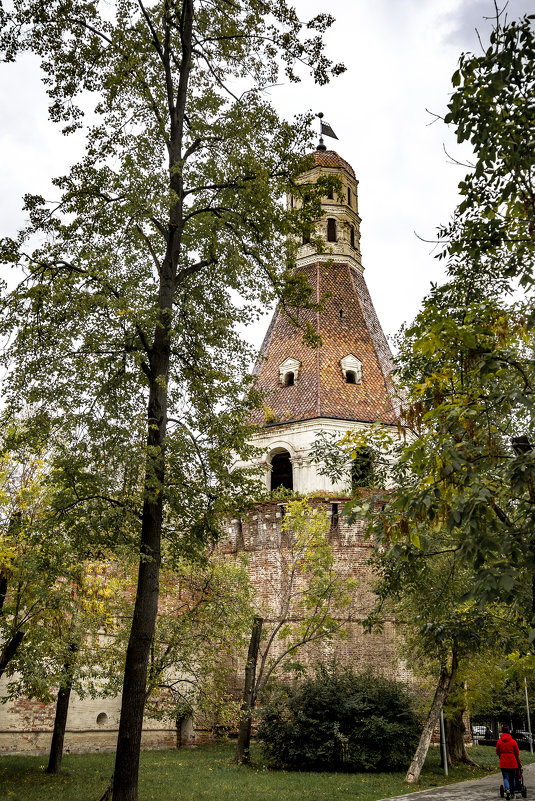 «Солевая» башня Симонова монастыря. Москва - Сергей Козырев