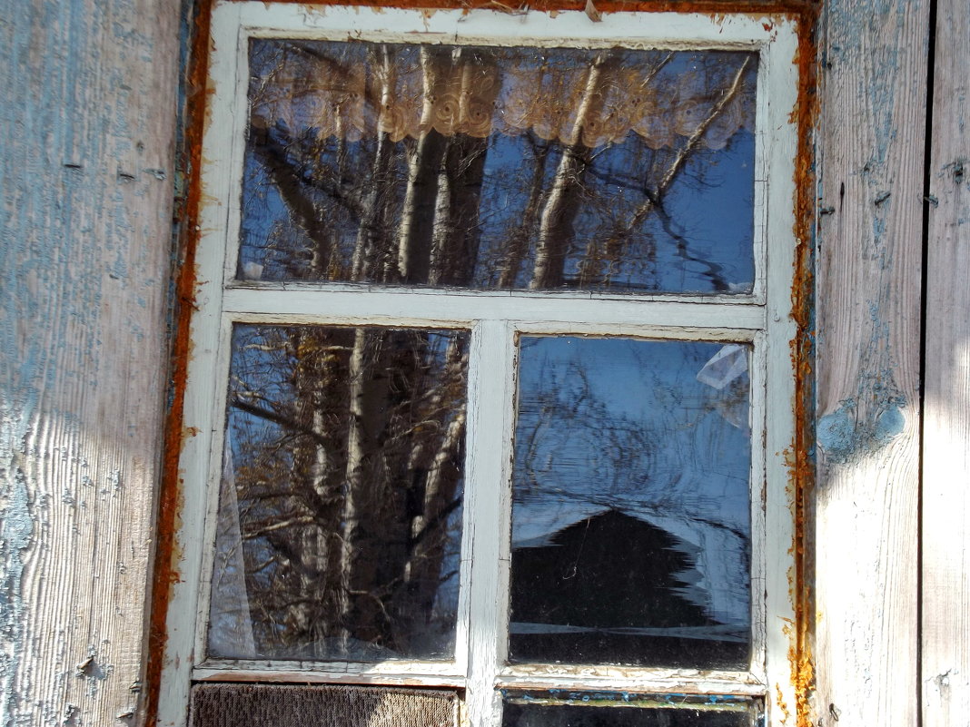 Отражение в кухонном окне - Светлана Рябова-Шатунова