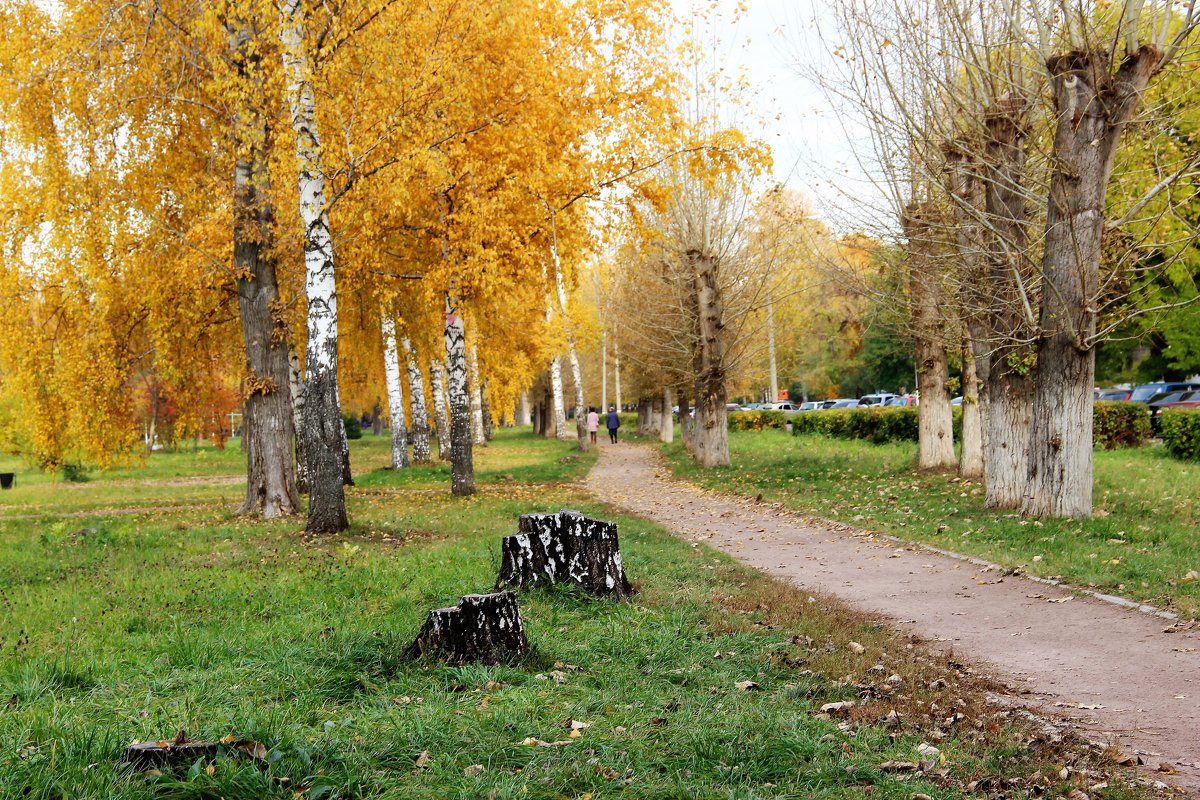 Осень в городе 4. - Венера Чуйкова