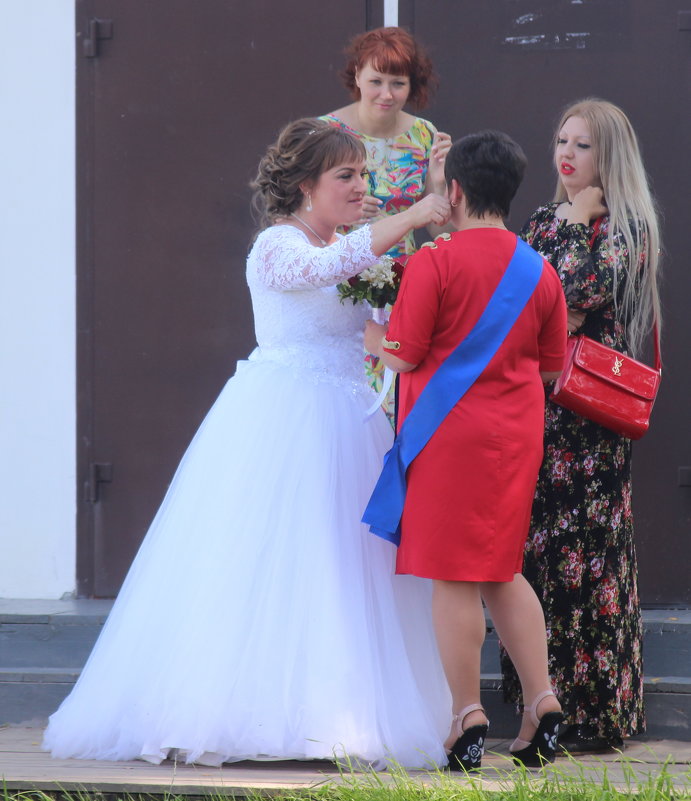 Невеста и ее подруги - Дмитрий Солоненко