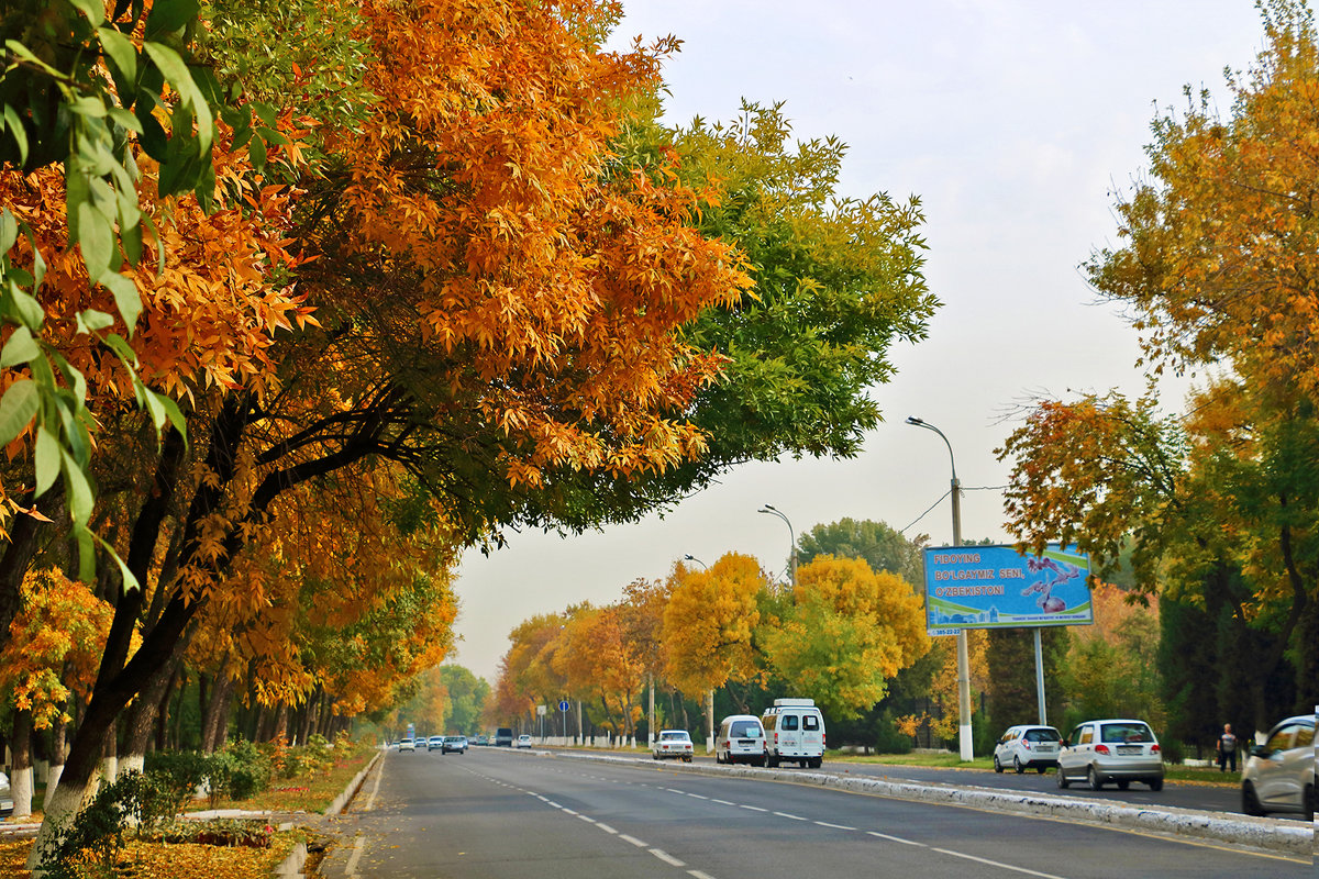 Осень в городе - Светлана 