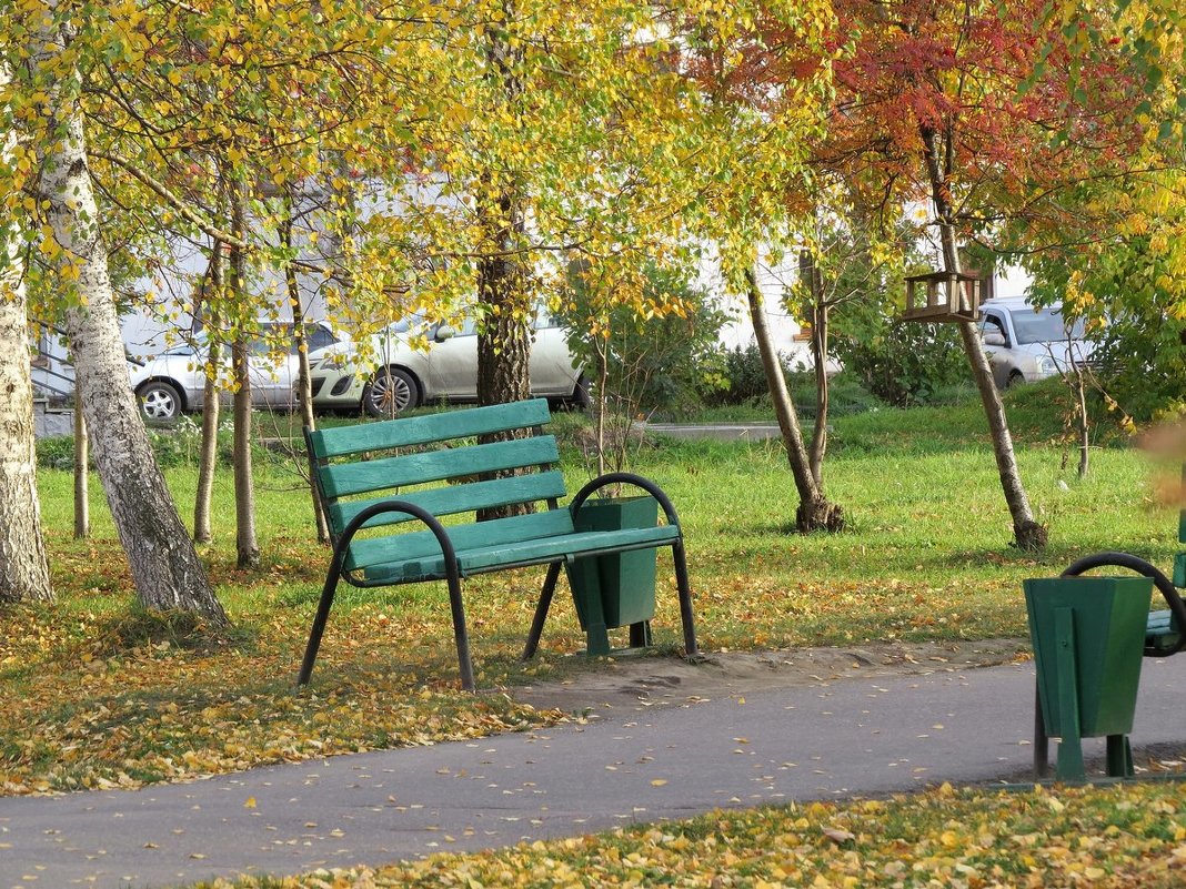 Осень в парке - Елена Лапина