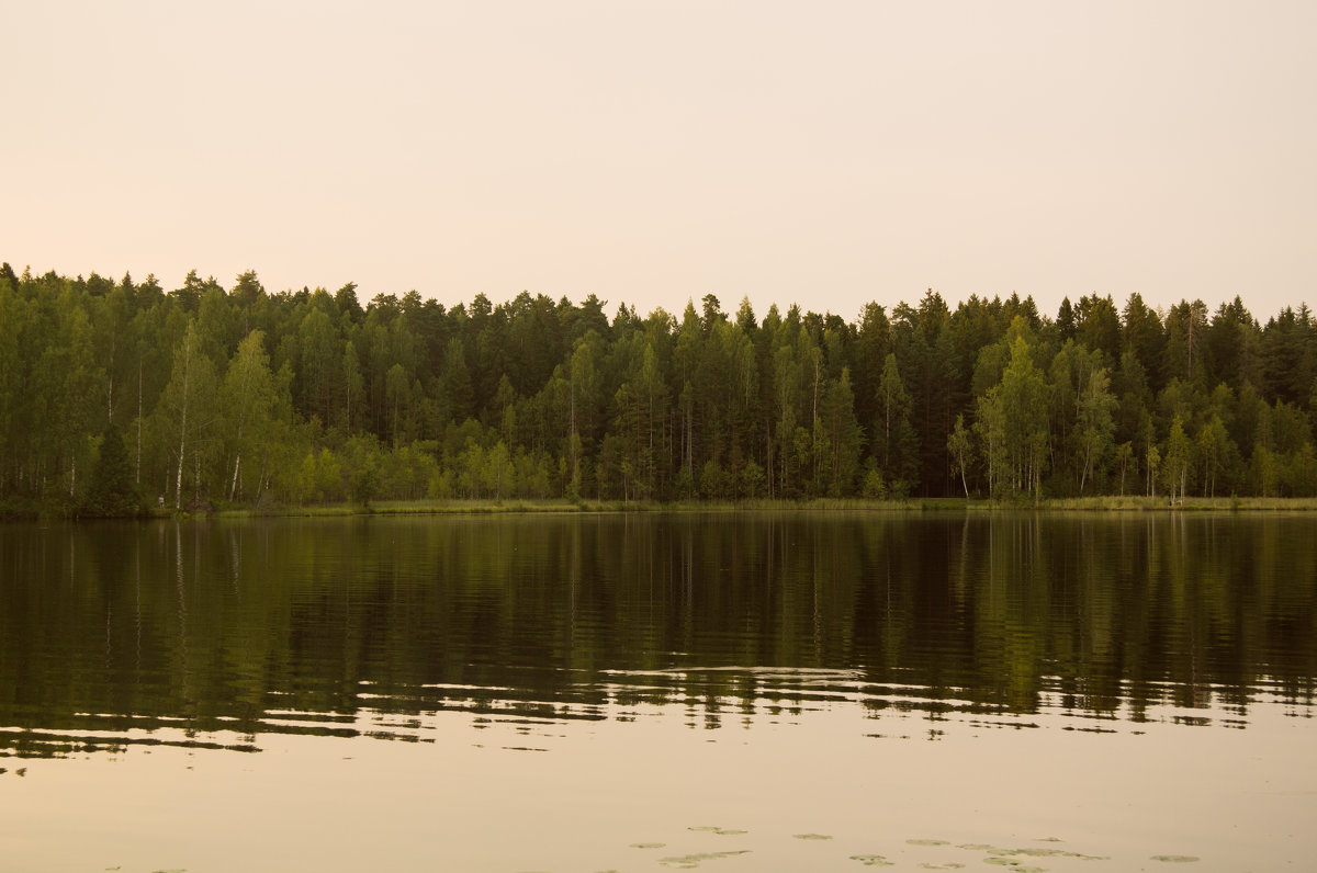 Летний вечер у озера - Aнна Зарубина