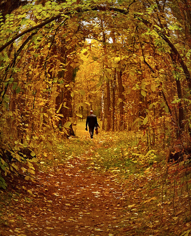 Осень в парке 2 - Сергей Розанов