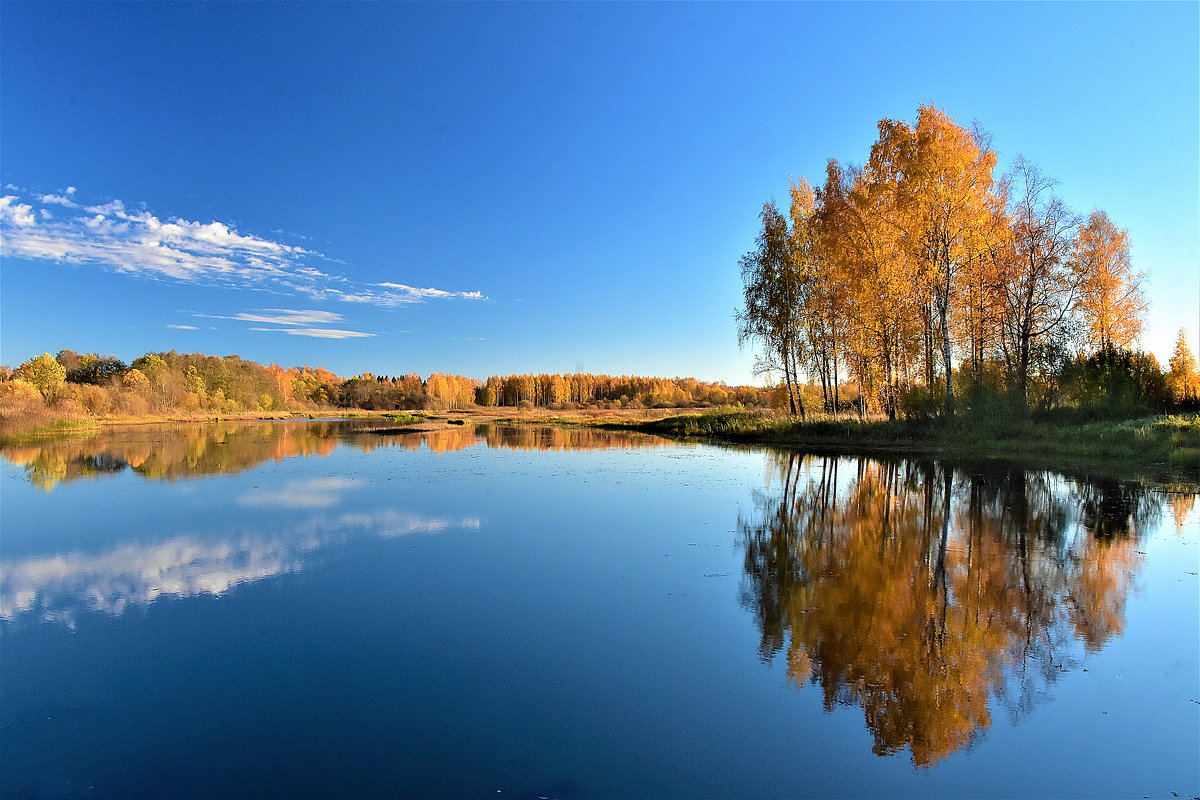 Озеро в лесу - Oleg S 