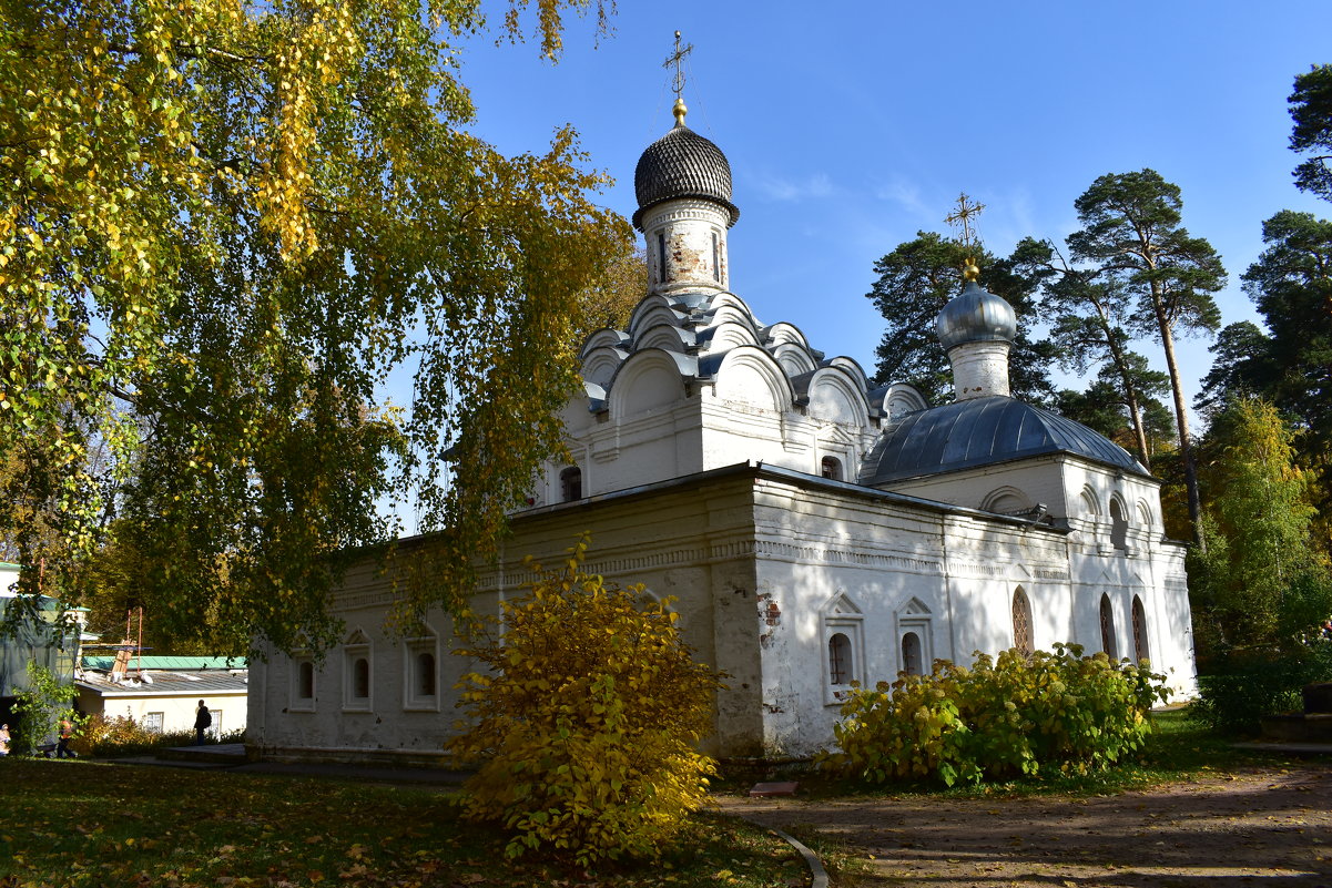 Осень в Архангельском. - tatiana 