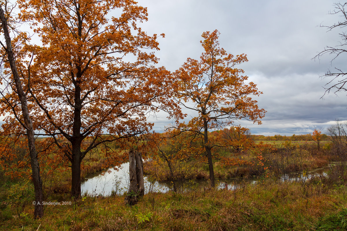 Осенний пейзаж с речкой - Александр Синдерёв