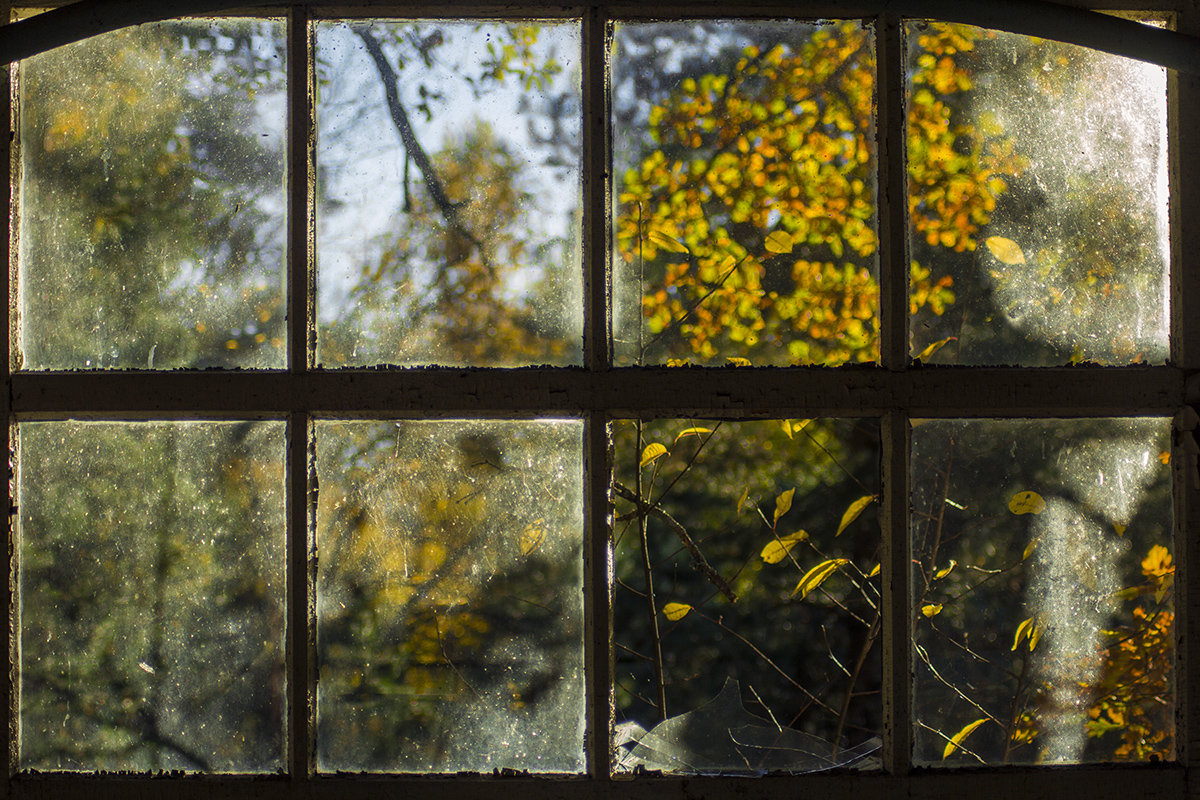 осень в окнах 18 - Геннадий Свистов