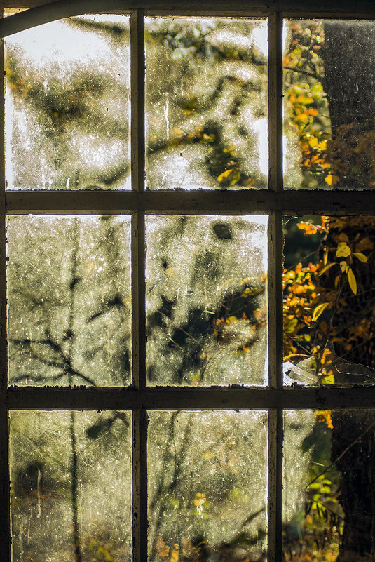 осень в окнах 18 - Геннадий Свистов