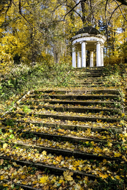 парк-усадьба Ленинские Горки - Георгий А