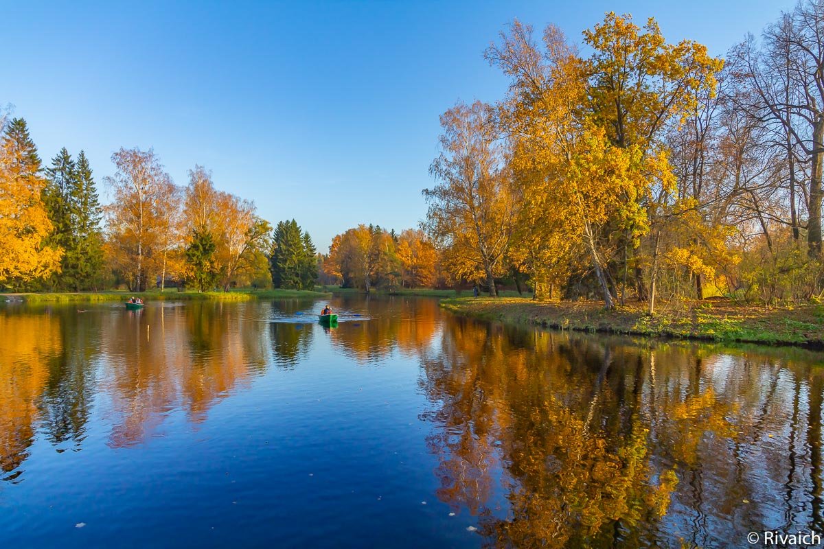 Осень - Сергей Залаутдинов