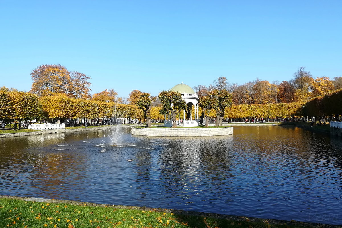 Лебединый пруд в парке Кадриорг - veera v