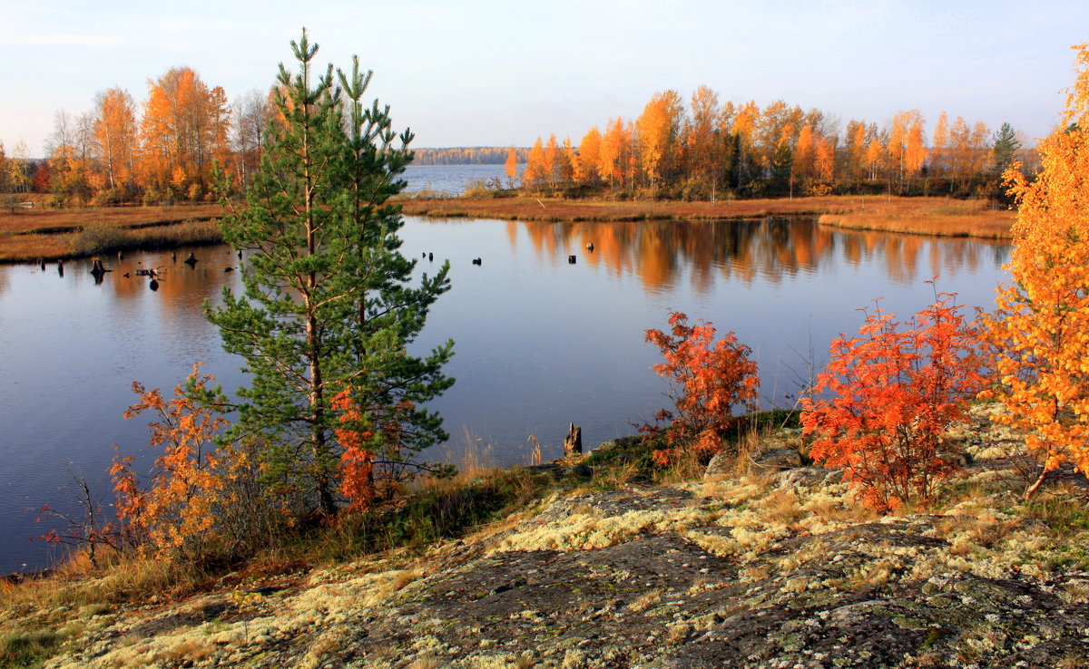 Осенняя река Карелия