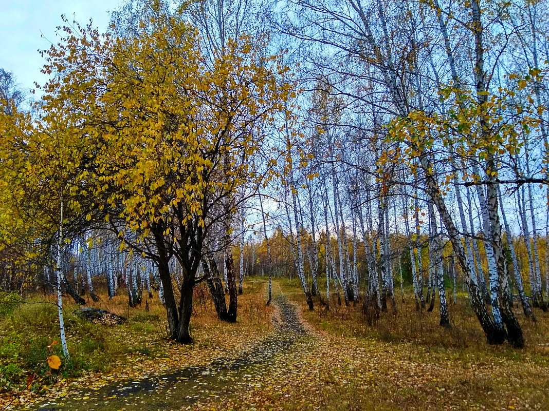 Золотая Осень - Татьяна Котельникова