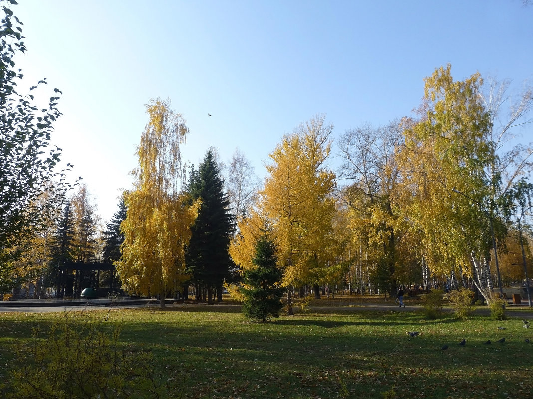Парк имени Урицкого в октябре 2018 - Наиля 