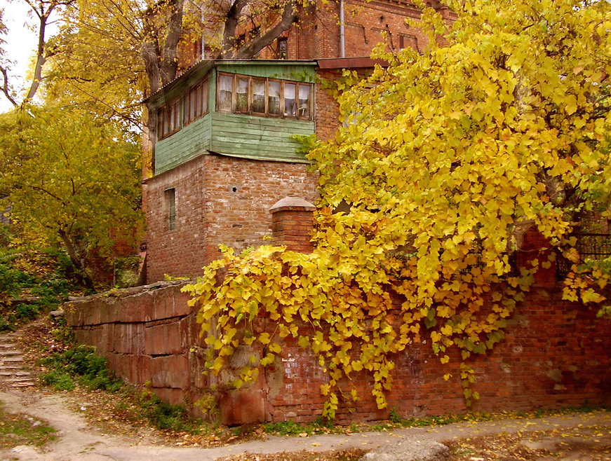 Осеннее настроение. - Nata 