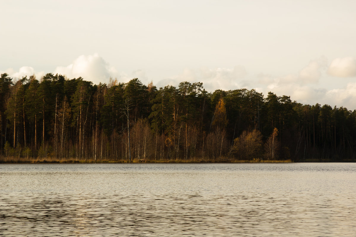 У озера в октябре - Aнна Зарубина