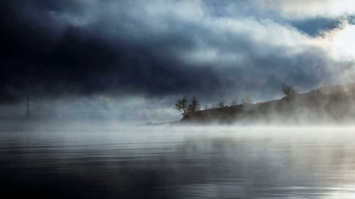 Туман - Андрей Молчанов