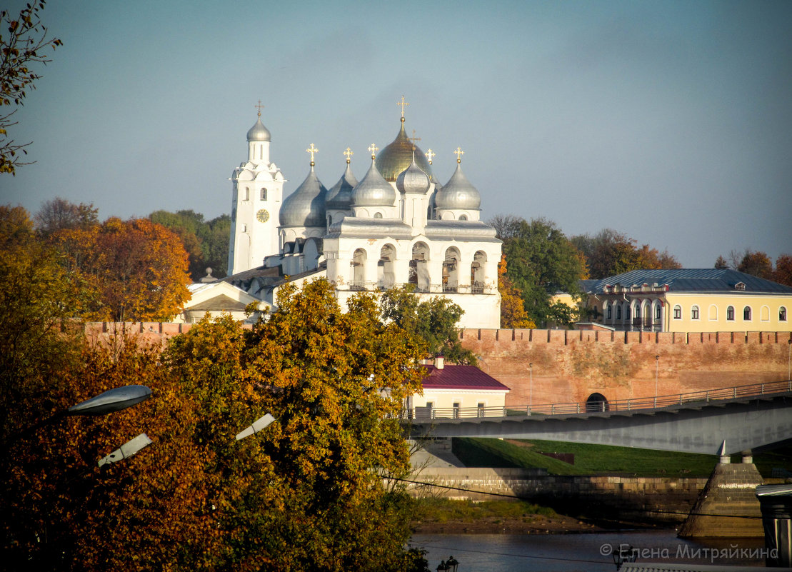 Господин Великий Новгород - Елена Митряйкина