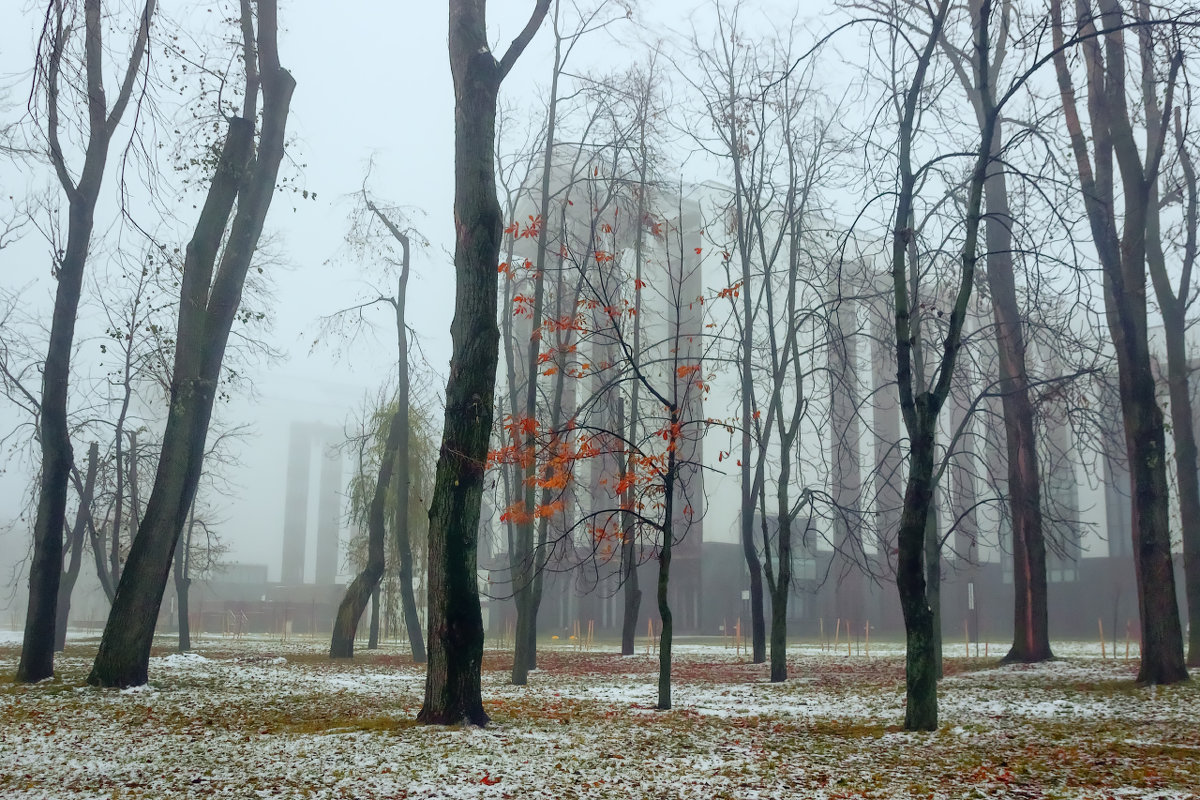Осенний туман - Александр Алин