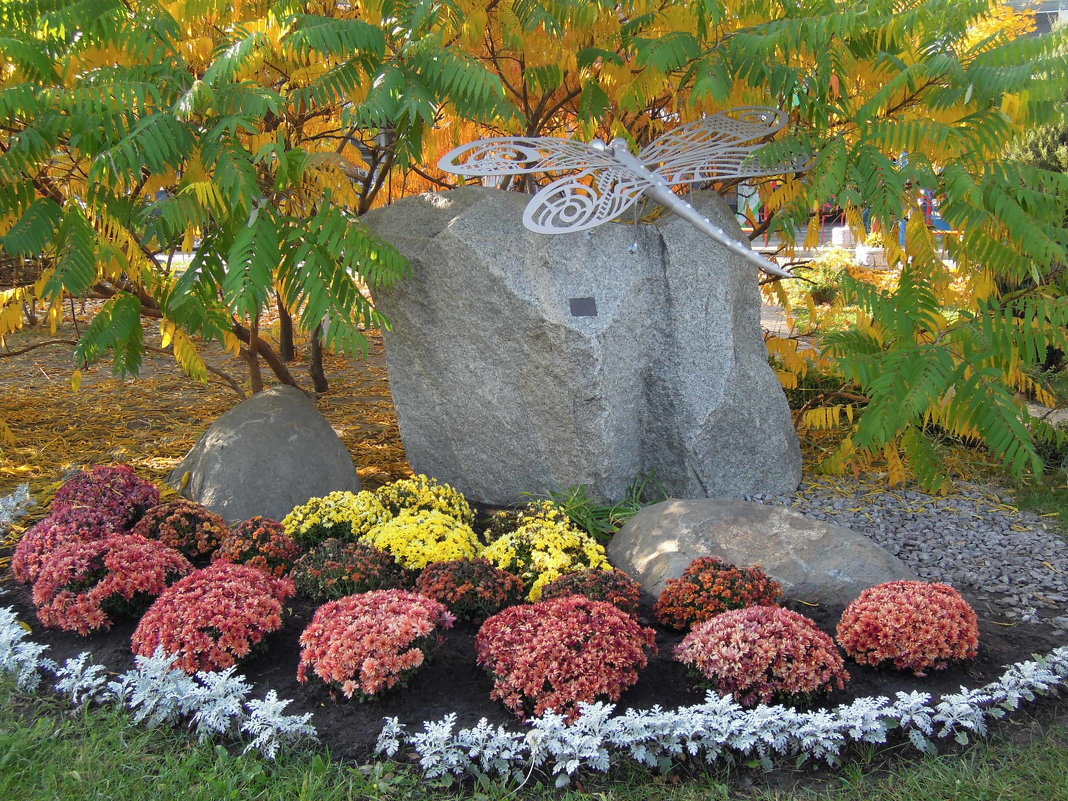 Осенняя арт-стрекоза живёт в "Саду камней" на Оболони - Тамара Бедай 