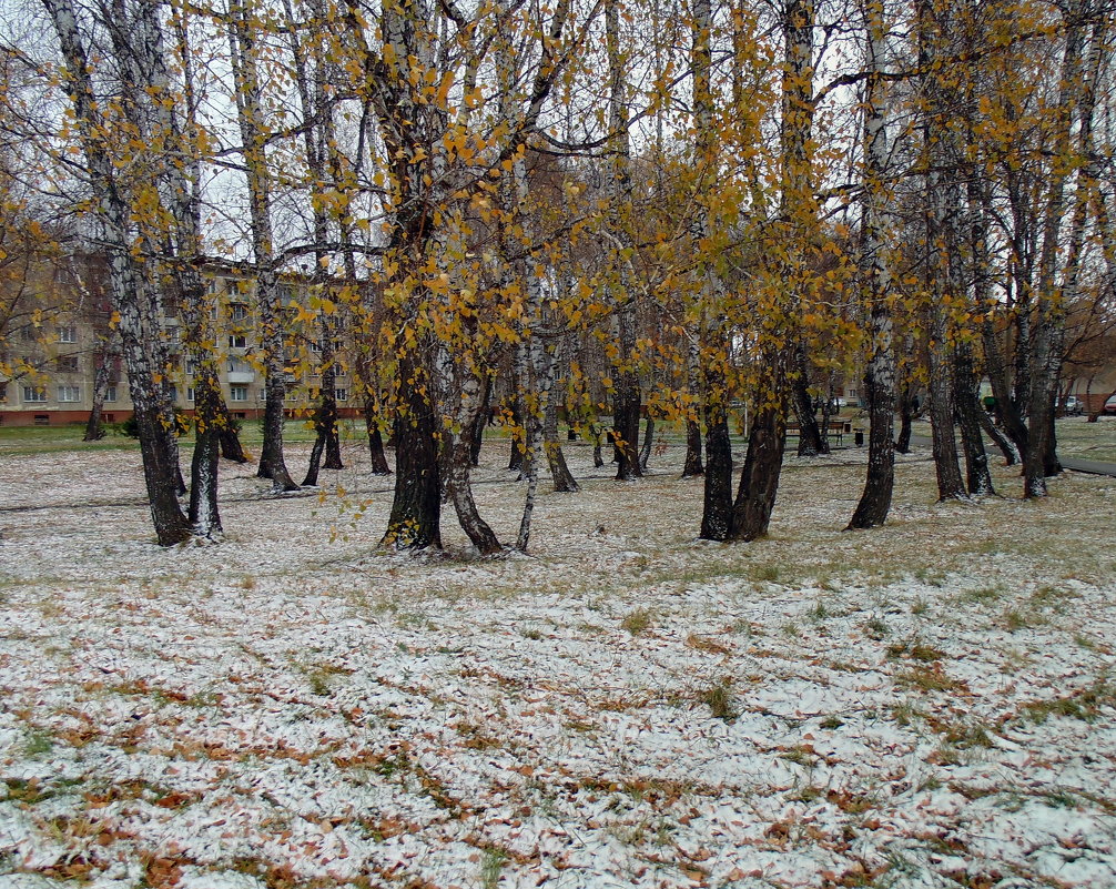 Первый снег в октябре . - Мила Бовкун