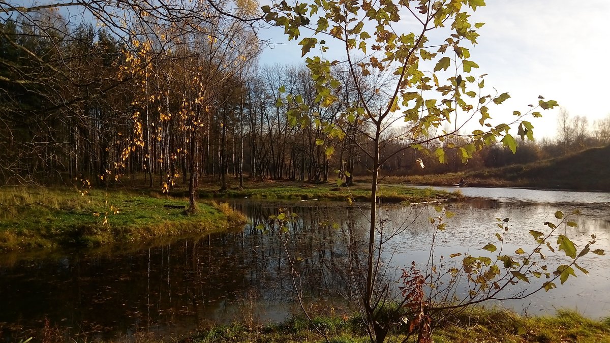 Прогулка в парке - Елена Павлова (Смолова)