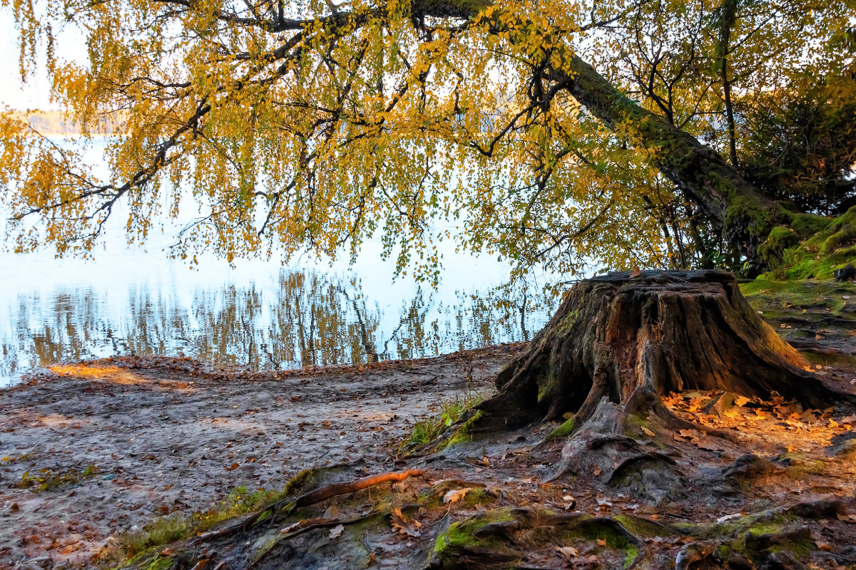 Золотая осень на озере Свитязь - Александр Алин