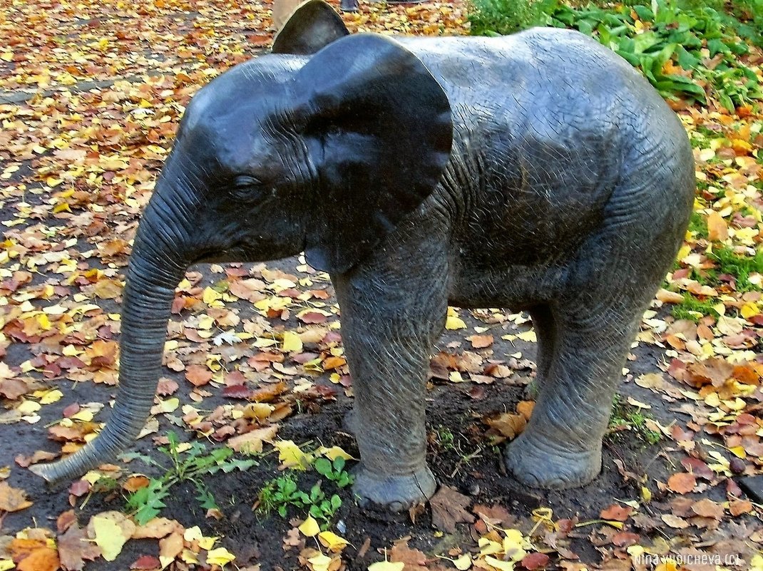 Осенний слон из Штаде - Nina Yudicheva