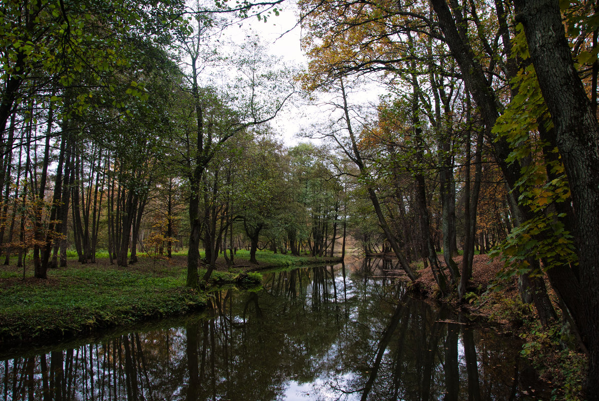 1 - Александр Горбачев