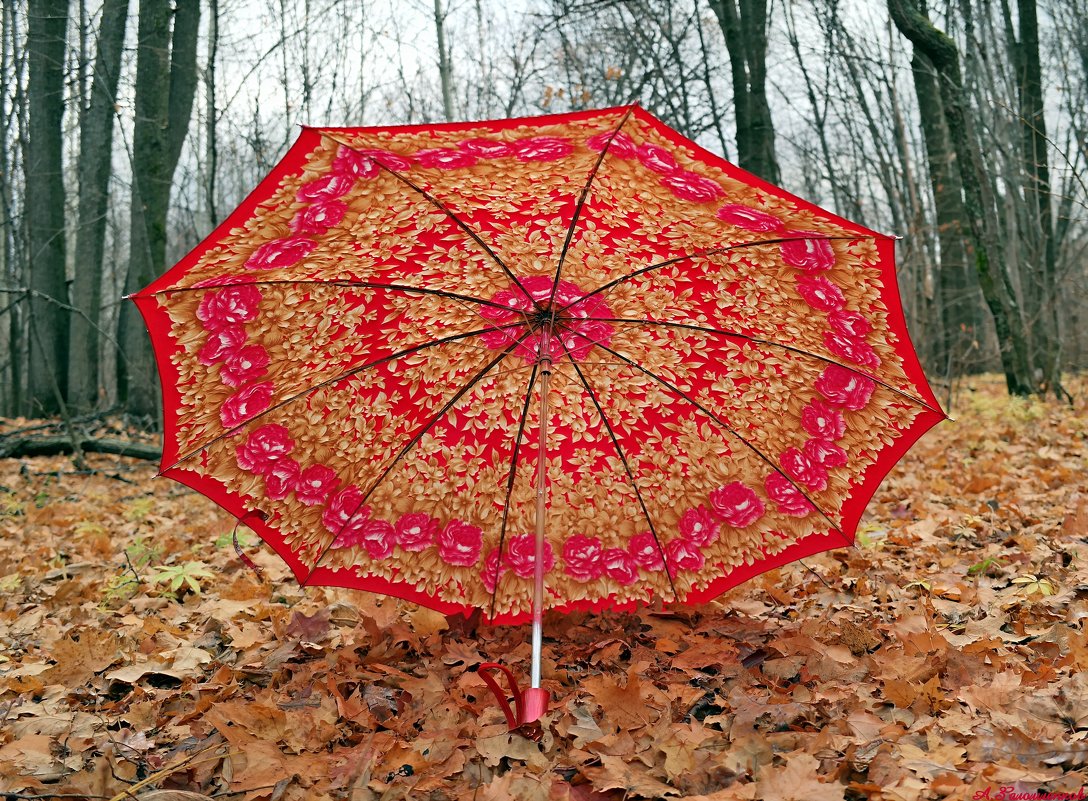 И не печалит дождик в октябре, когда идёшь с цветастым зонтиком в руке :) - Андрей Заломленков
