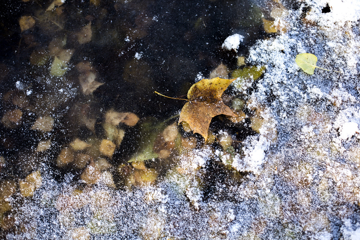 Осень под ледяным стеклом - Nika Polskaya