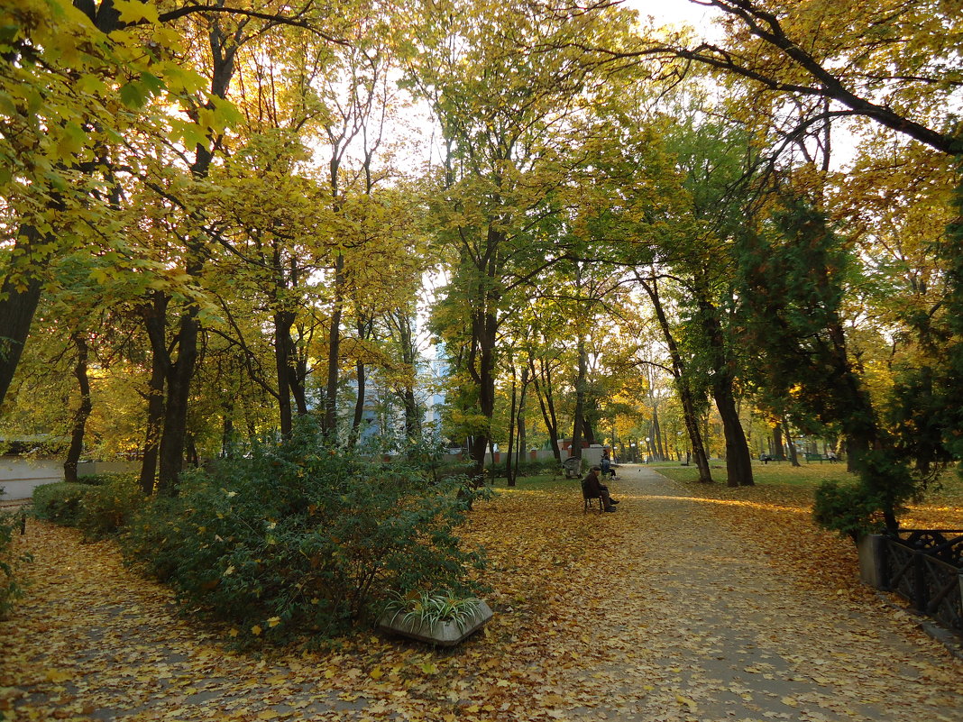 В старом парке листопад - Ирина 
