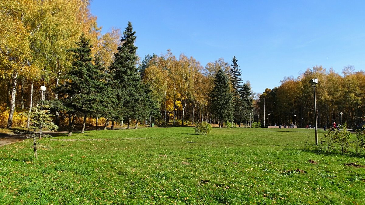 Городской парк в октябре - Милешкин Владимир Алексеевич 