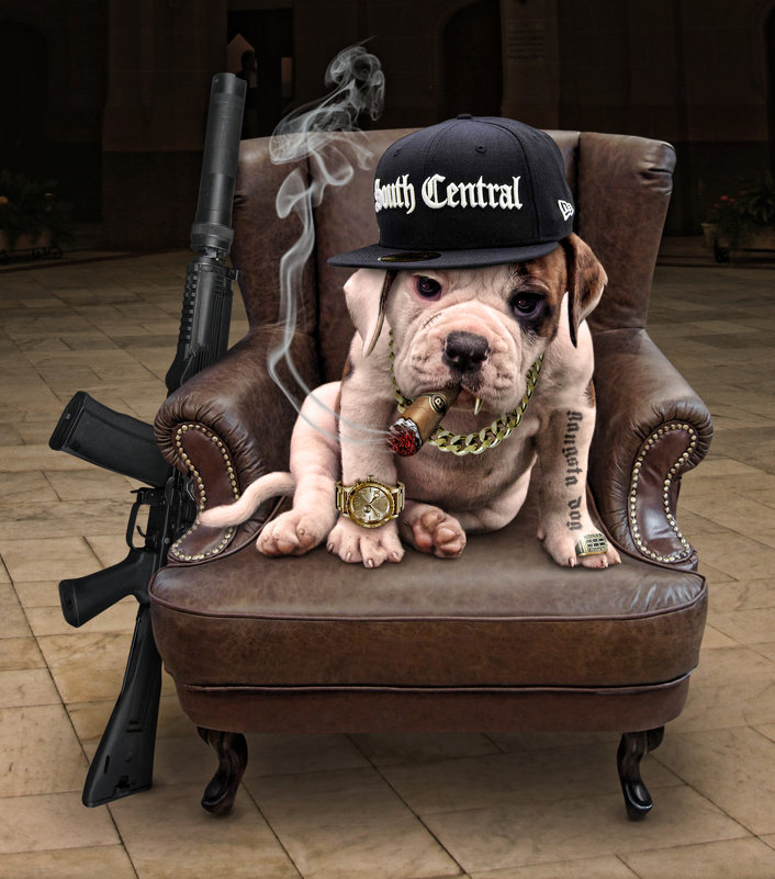 gangsta-dog - Игорь Козырин