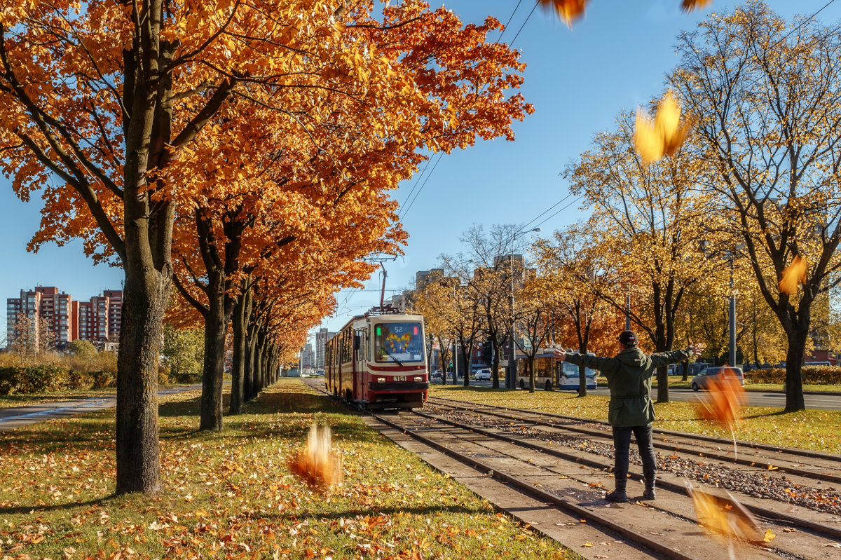 Осень трамвай Петербург