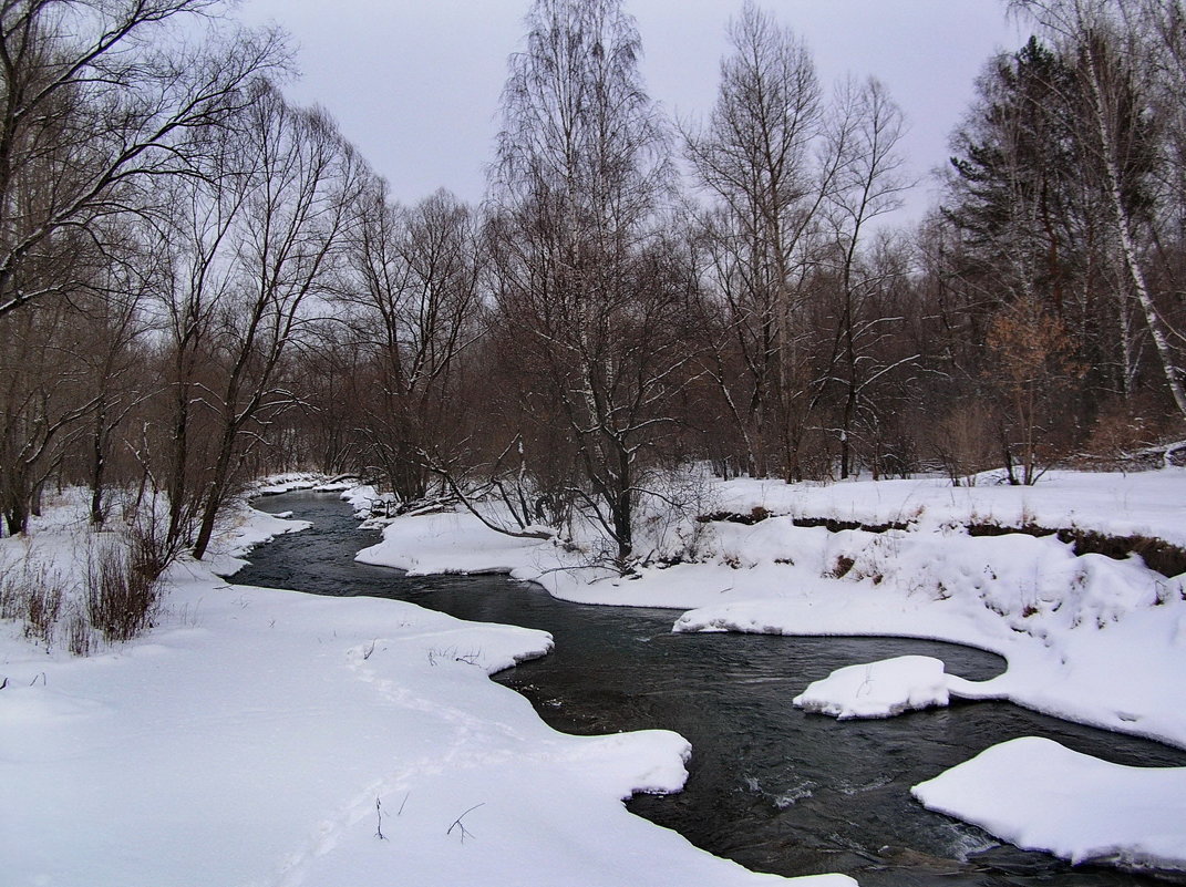 зима,горная речка - nataly-teplyakov 