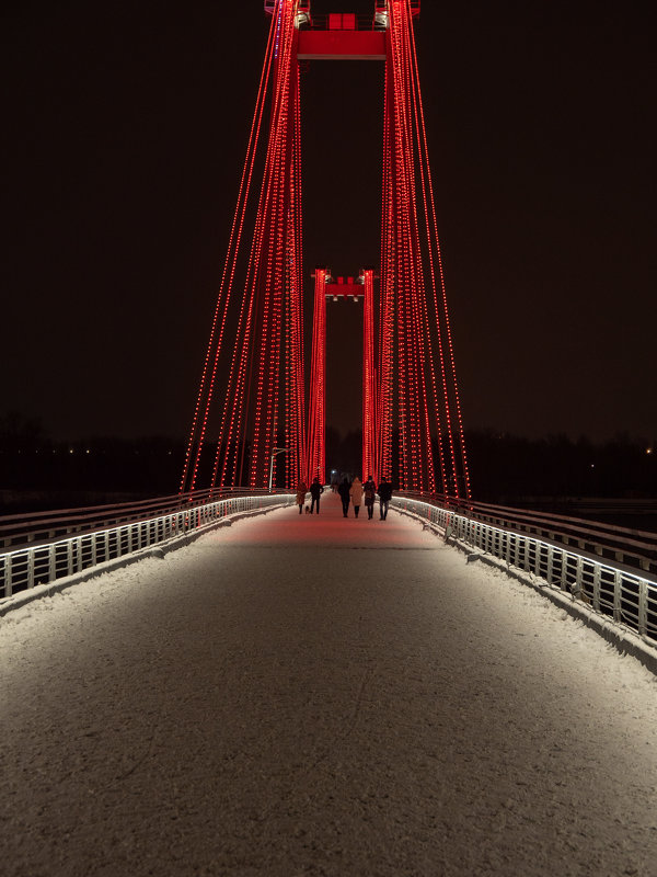 Красноярск,пешеходный вантовый мост на о.Татышев - Олег Мартоник