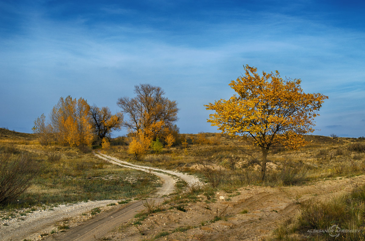 Дороги Осени - Александр Афромеев