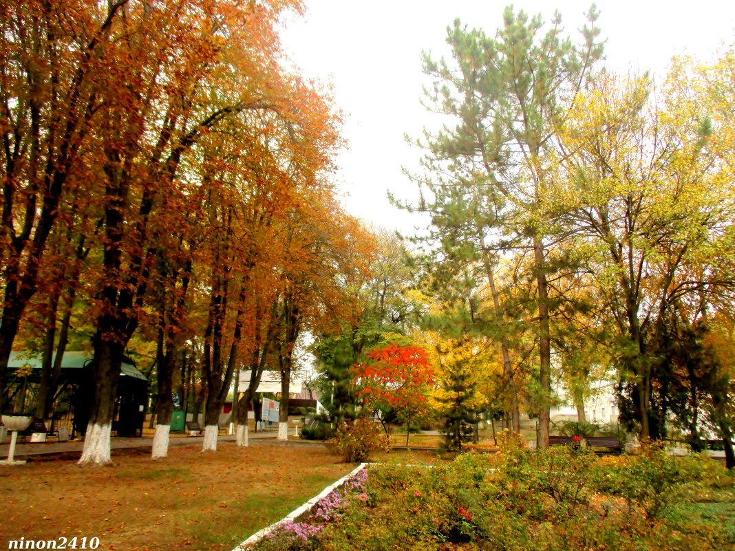 Октябрь в парке Октября - Нина Бутко
