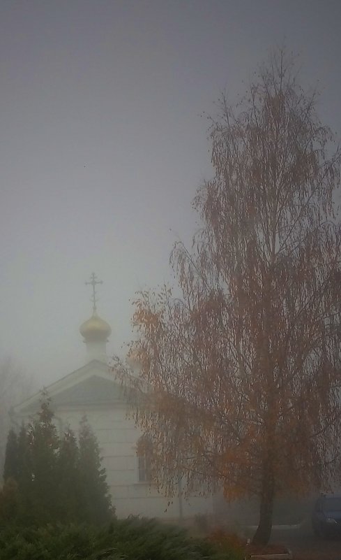 Церковь Воскресения Славущего в утреннем тумане.Город Орёл - Леонид Абросимов