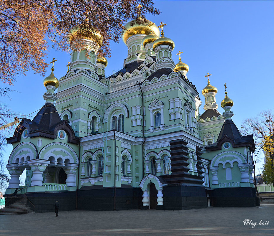 Горят купола Никольского собора Свято-Покровского Киевского женского монастыря - Тамара Бедай 